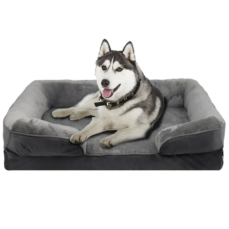 Dog Beds