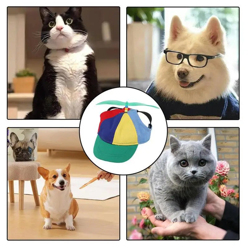 Dog Propeller Hat Pet Outdoor Sports Hats With Ear Holes Dog Hat Rainbow Helicopter Top Hat For Small Puppy Cats Pets Supplies