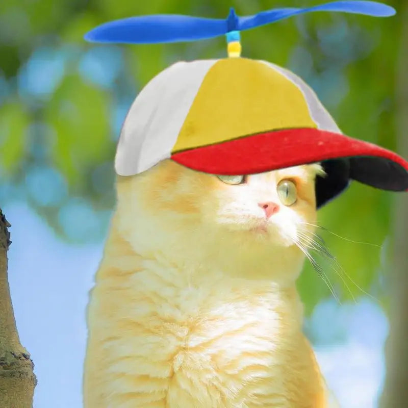 Dog Propeller Hat Pet Outdoor Sports Hats With Ear Holes Dog Hat Rainbow Helicopter Top Hat For Small Puppy Cats Pets Supplies
