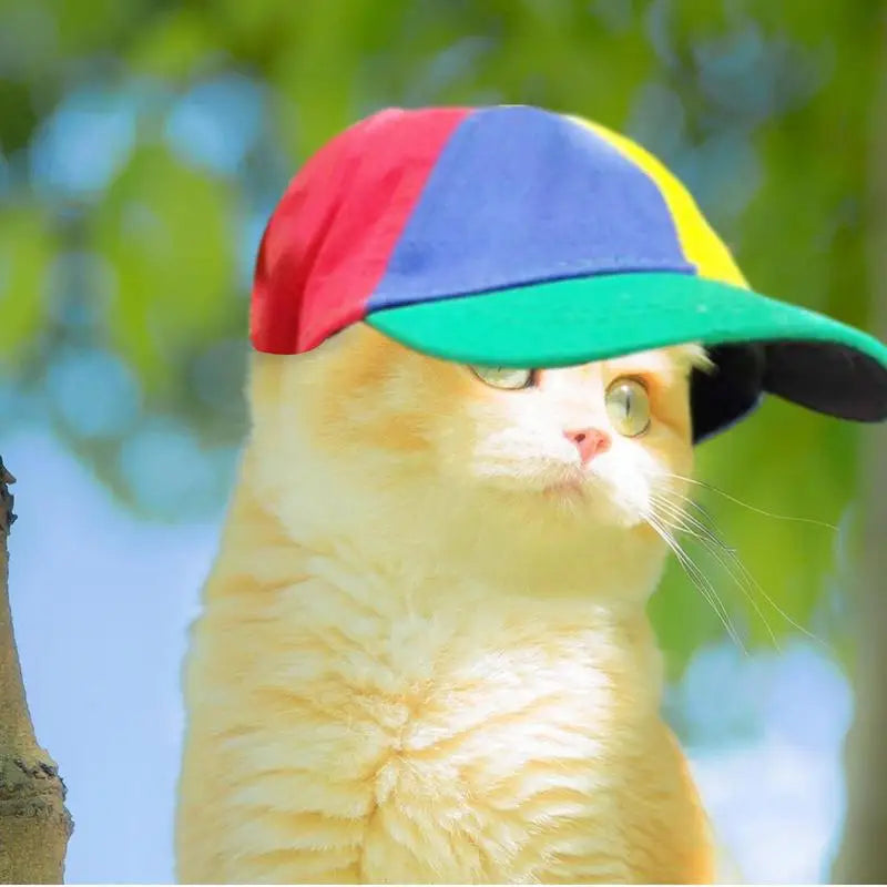 Colorful Pet Propeller Hat With Ear Holes Sunproof Dogs Cats Rainbow Helicopter Top Hat For Poodle Puppy Dachshund