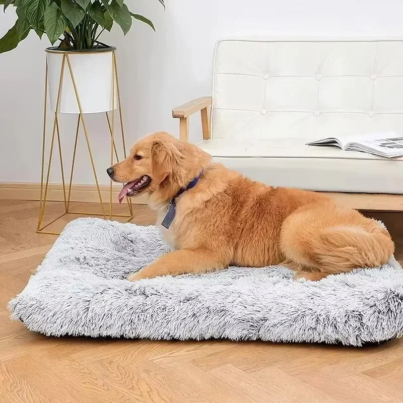 Plush Dog Bed for Small Medium Large Dogs Soft Cat Beds Removable for Cleaning Puppy Cushion Claming Dog Beds Pet Accessories