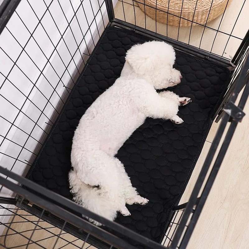 Dog Pee Pad Washable Dog Urine Mat Car Seat Floor Sofa Waterproof Absorbent Puppy Cat Training Diaper Mat Reusable Pet Supplies