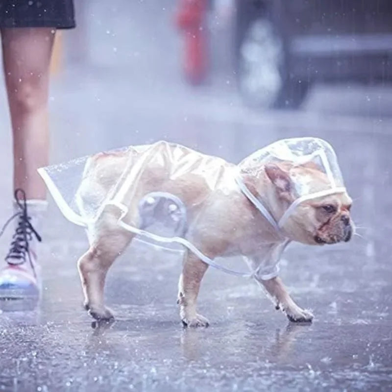 1pc Transparent Hooded Pet Dog Plastic Raincoat Dog Clothes Poncho For Small Dogs Little Puppy Pet Outdoor Accessories