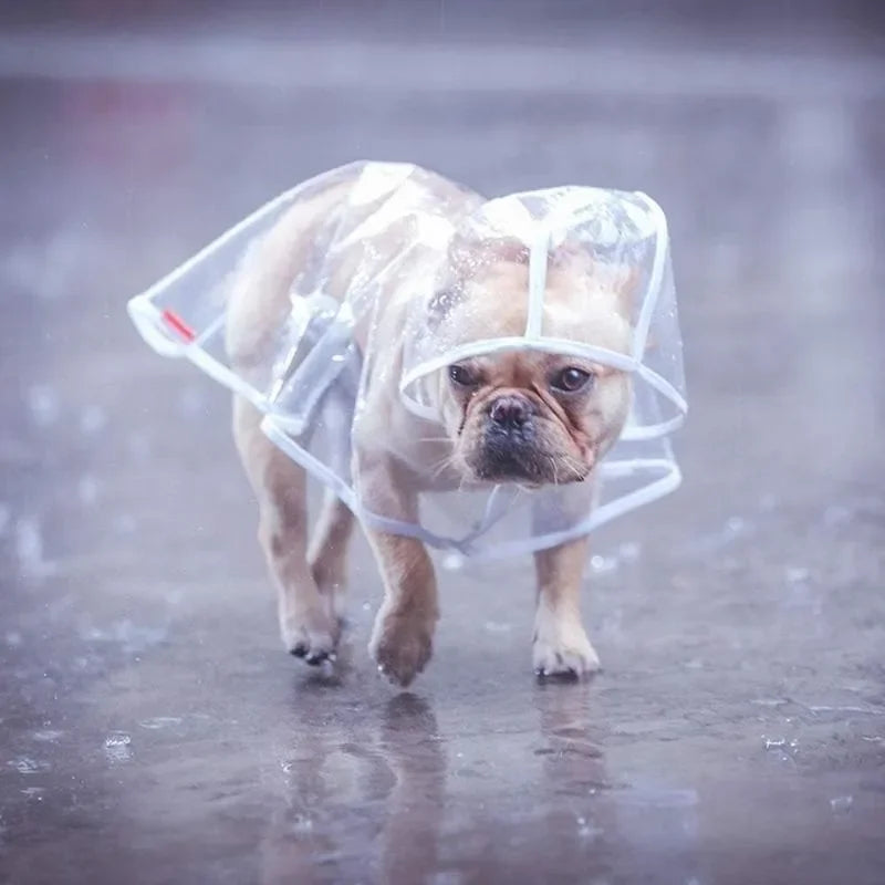 1pc Transparent Hooded Pet Dog Plastic Raincoat Dog Clothes Poncho For Small Dogs Little Puppy Pet Outdoor Accessories