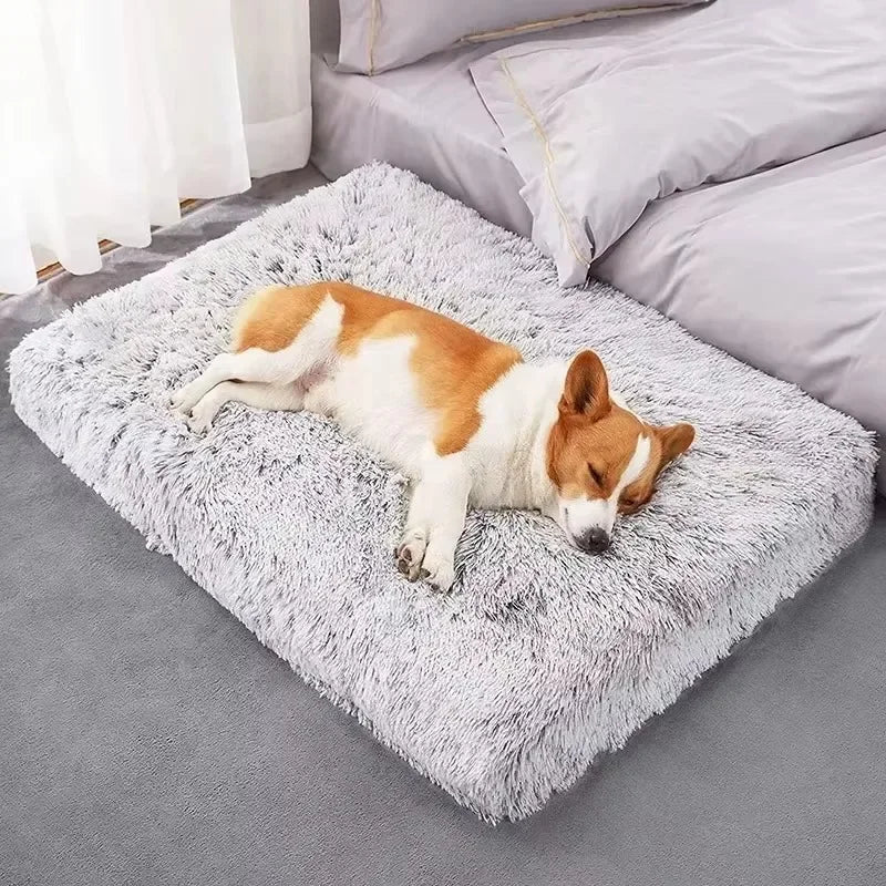 Plush Dog Bed for Small Medium Large Dogs Soft Cat Beds Removable for Cleaning Puppy Cushion Claming Dog Beds Pet Accessories