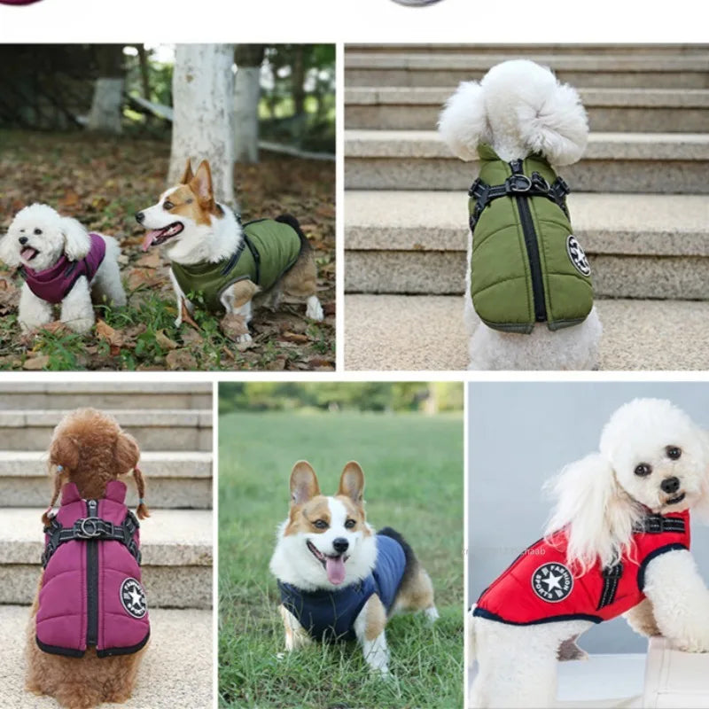 Winter Warm Pet Dog Jacket with Harness Waterproof Dog Coat Vest for Small Medium Chihuahua French Bulldog Outdoor Dog Clothes